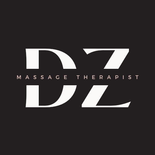 DZ Massage company logo